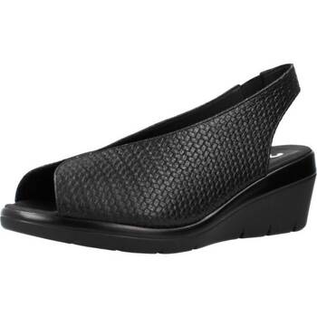 Παπούτσια Γυναίκα Σανδάλια / Πέδιλα 24 Hrs 25656 Black