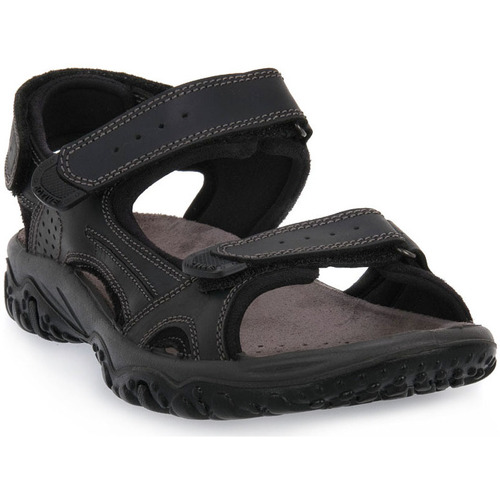 Παπούτσια Άνδρας Σανδάλια / Πέδιλα Imac PACIFIC Black
