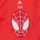 Υφασμάτινα Αγόρι T-shirt με κοντά μανίκια Adidas Sportswear LB DY SM T Red / Άσπρο