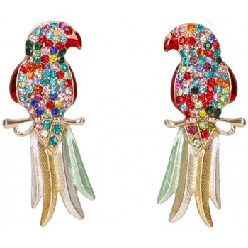Ρολόγια & Kοσμήματα Γυναίκα Σκουλαρίκια Luna Collection 70071 Multicolour