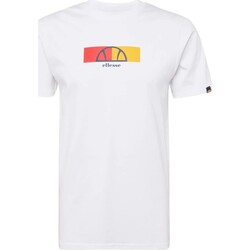 Υφασμάτινα Άνδρας T-shirt με κοντά μανίκια Ellesse 215591 Άσπρο