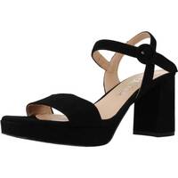 Παπούτσια Γυναίκα Σανδάλια / Πέδιλα Dibia 10328 2D Black