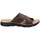 Παπούτσια Άνδρας Τσόκαρα Axa -28136A Brown