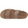 Παπούτσια Γυναίκα Σανδάλια / Πέδιλα Grunland TAUPE 68 MOLL Brown