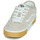 Παπούτσια Χαμηλά Sneakers Vans Rowley Classic Beige