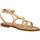 Παπούτσια Γυναίκα Σανδάλια / Πέδιλα Caryatis 622109C Brown