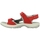Παπούτσια Γυναίκα Σανδάλια / Πέδιλα Rohde 5380 Red
