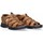 Παπούτσια Άνδρας Σανδάλια / Πέδιλα Xti 69341 Brown