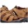 Παπούτσια Άνδρας Σανδάλια / Πέδιλα Xti 69341 Brown