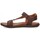 Παπούτσια Άνδρας Σανδάλια / Πέδιλα Kangaroos 69407 Brown