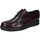 Παπούτσια Άνδρας Derby & Richelieu Bruno Verri BC301 506 Bordeaux