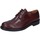 Παπούτσια Άνδρας Derby & Richelieu Bruno Verri BC529 Bordeaux