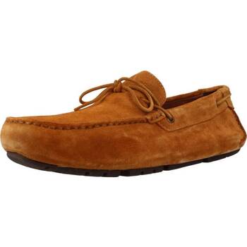 Παπούτσια Άνδρας Boat shoes Geox U MELBOURNE Brown