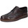 Παπούτσια Άνδρας Derby & Richelieu Bruno Verri BC543 Brown