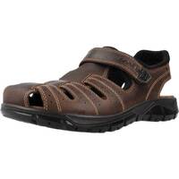 Παπούτσια Άνδρας Σανδάλια / Πέδιλα IgI&CO 3641211 Brown