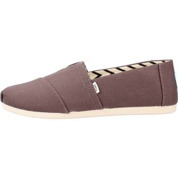 Toms ASH RECYCLED COTTON CANVAS Brown