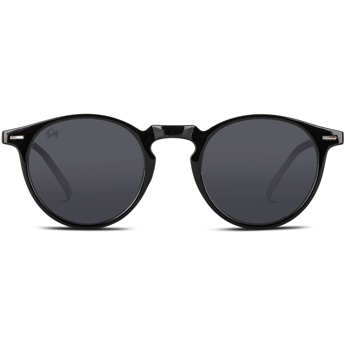 Ρολόγια & Kοσμήματα óculos de sol Twig Watson Sun Black