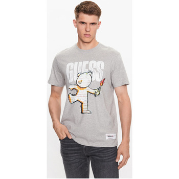 Υφασμάτινα Άνδρας T-shirt με κοντά μανίκια Guess M3YI87 K9RM1 Grey