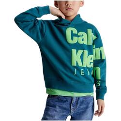 Υφασμάτινα Αγόρι Φούτερ Calvin Klein Jeans  Green