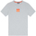 Υφασμάτινα Άνδρας T-shirt με κοντά μανίκια Diesel T-DIEGOR E15 T-SHIRT MEN ΓΚΡΙ