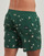 Υφασμάτινα Άνδρας Μαγιώ / shorts για την παραλία Billabong VACAY LB Green