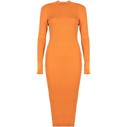 Υφασμάτινα Γυναίκα Κοντά Φορέματα Silvian Heach PGA22208VE Orange