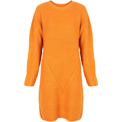 Υφασμάτινα Γυναίκα Κοντά Φορέματα Silvian Heach PGA22285VE Orange