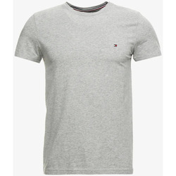 Υφασμάτινα Άνδρας T-shirt με κοντά μανίκια Tommy Hilfiger  Grey