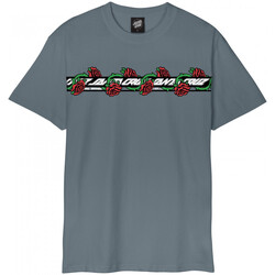 Υφασμάτινα Άνδρας T-shirts & Μπλούζες Santa Cruz Dressen roses ever-slick Grey