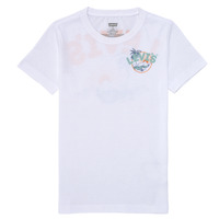 Υφασμάτινα Αγόρι T-shirt με κοντά μανίκια Levi's SCENIC SUMMER TEE Multicolour / Άσπρο