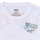 Υφασμάτινα Αγόρι T-shirt με κοντά μανίκια Levi's SCENIC SUMMER TEE Multicolour / Άσπρο