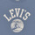 Υφασμάτινα Αγόρι T-shirt με κοντά μανίκια Levi's SURFS UP TEE Μπλέ