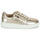 Παπούτσια Γυναίκα Χαμηλά Sneakers Caprice 23301 Gold