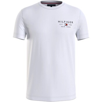 Υφασμάτινα Άνδρας T-shirt με κοντά μανίκια Tommy Hilfiger MW0MW30787 Μπλέ