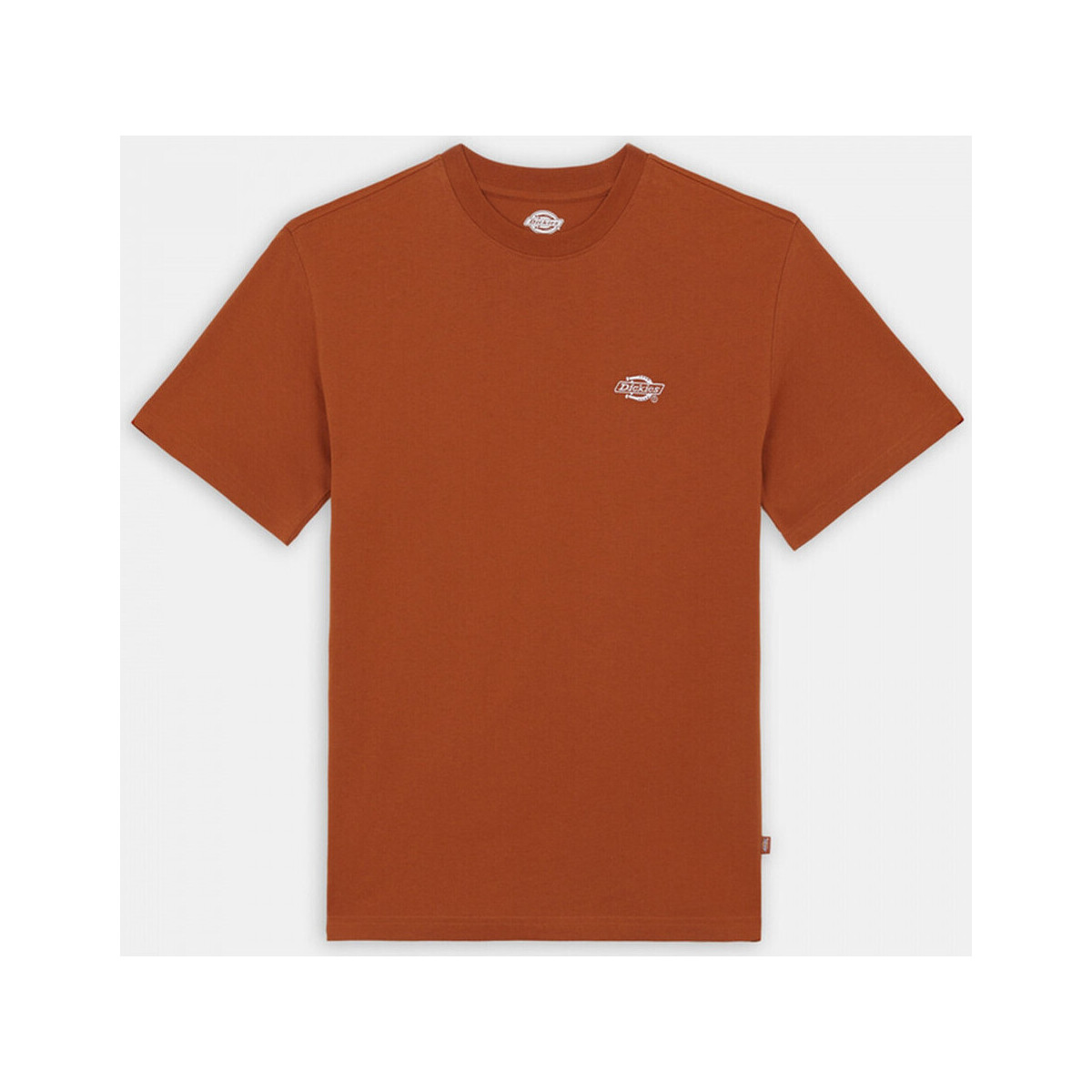 Υφασμάτινα Άνδρας T-shirts & Μπλούζες Dickies Summerdale ss tee bombay Brown