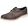 Παπούτσια Άνδρας Derby & Richelieu Eveet EZ309 Brown