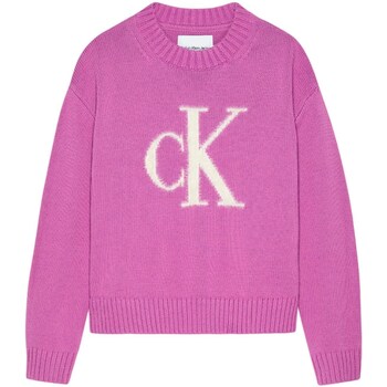 Υφασμάτινα Κορίτσι Πουλόβερ Calvin Klein Jeans IG0IG02220 Violet