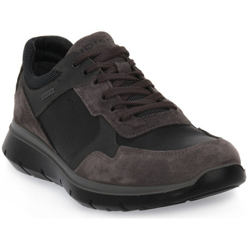 Παπούτσια Άνδρας Sneakers IgI&CO ERMES GTX Grey