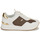 Παπούτσια Γυναίκα Χαμηλά Sneakers MICHAEL Michael Kors RAINA TRAINER Beige / Brown / Gold