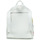 Τσάντες Γυναίκα Σακίδια πλάτης Desigual LIQUIDFLOWER MOMBASA Άσπρο / Multicolour