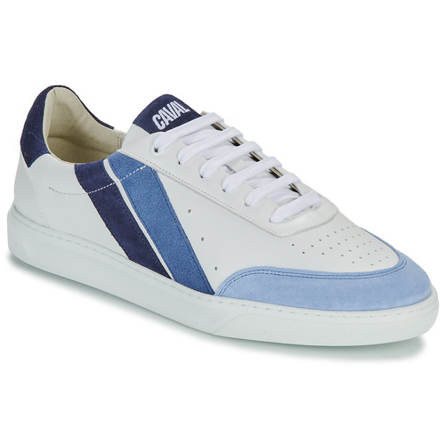 Παπούτσια Άνδρας Χαμηλά Sneakers Caval LOW SLASH 50 SHADES OF BLUE Άσπρο / Μπλέ