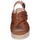 Παπούτσια Γυναίκα Σανδάλια / Πέδιλα Geox EY21 Brown
