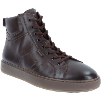 Παπούτσια Άνδρας Sneakers NeroGiardini I303061U Brown