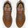 Παπούτσια Άνδρας Sneakers Timberland Sptk mid lace sneaker Brown