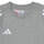 Υφασμάτινα Παιδί T-shirt με κοντά μανίκια adidas Performance TIRO24 SWTEEY Grey / Άσπρο