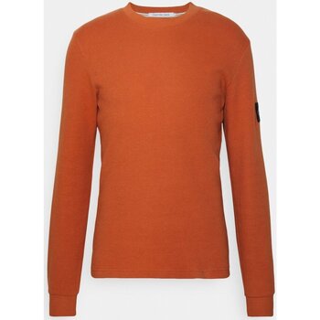 Υφασμάτινα Άνδρας Μπλουζάκια με μακριά μανίκια Calvin Klein Jeans J30J323485 Orange