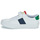 Παπούτσια Παιδί Χαμηλά Sneakers Polo Ralph Lauren RYLEY PS Άσπρο / Multicolour