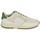Παπούτσια Άνδρας Χαμηλά Sneakers Clae JOSHUA APPLE Ecru / Green
