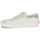 Παπούτσια Χαμηλά Sneakers Vans Sport Low TRI-TONE GREEN Άσπρο / Green