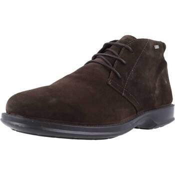 Παπούτσια Άνδρας Μπότες IgI&CO UOM0 TRAIL GTX Brown